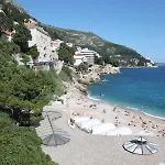 Vesna 3*